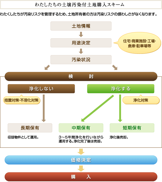 킽̓y뉘tynwXL[